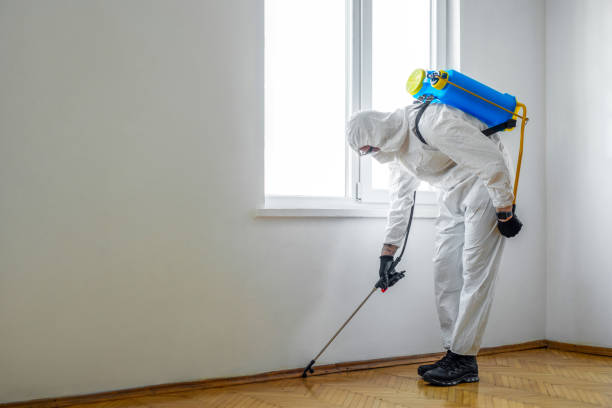 Real Estate Pest Inspections in Troy, NC